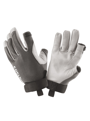 エーデルリッド「Work Closed Glove II」ワーククローズグラブ2（ビレイグローブ）